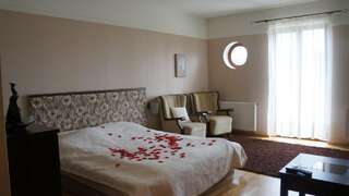 Отели типа «постель и завтрак» Dworek Biesiadny Radzewice Двухместный номер с 1 кроватью-4