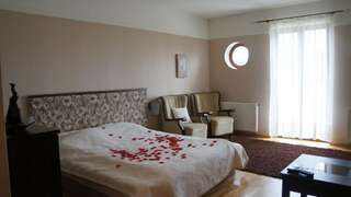 Отели типа «постель и завтрак» Dworek Biesiadny Radzewice Двухместный номер с 1 кроватью-8
